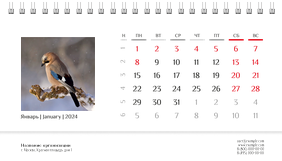 Настольные перекидные календари - Природа