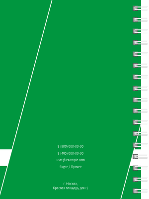 Блокноты-книжки A6 - Строгий стиль - зеленый Задняя обложка
