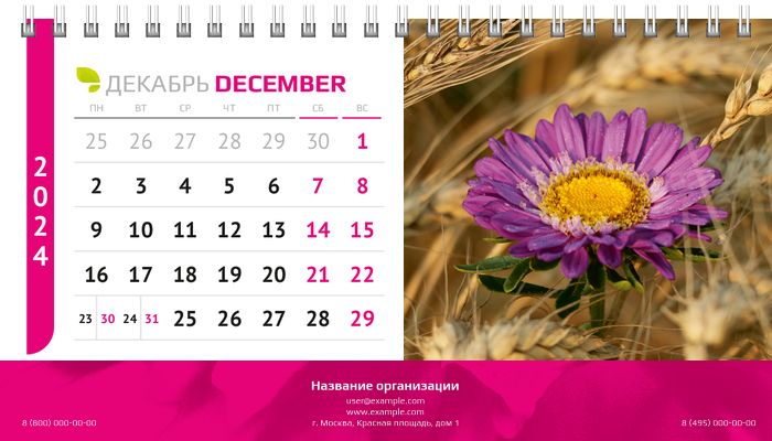 Настольные перекидные календари - Астра Декабрь