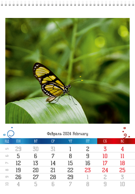 Вертикальные настенные перекидные календари - Бабочки Февраль
