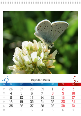 Вертикальные настенные перекидные календари - Бабочки Март