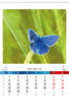 Вертикальные настенные перекидные календари - Бабочки Июль