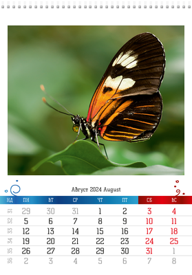 Вертикальные настенные перекидные календари - Бабочки Август