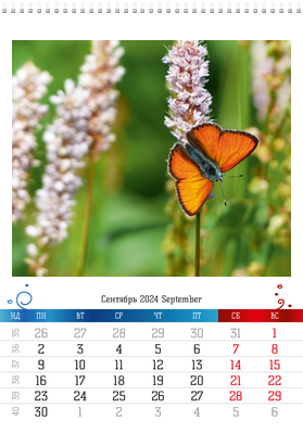Вертикальные настенные перекидные календари - Бабочки Сентябрь
