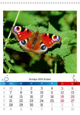 Вертикальные настенные перекидные календари - Бабочки Октябрь