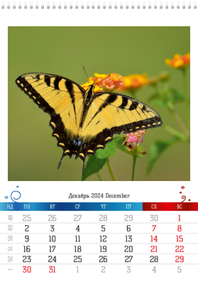 Вертикальные настенные перекидные календари - Бабочки Декабрь