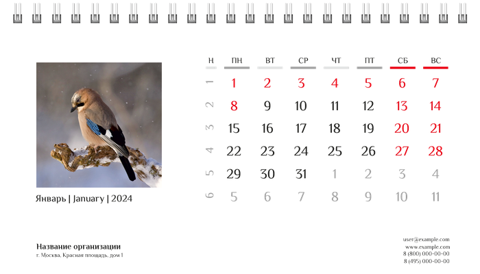 Настольные перекидные календари - Природа Январь