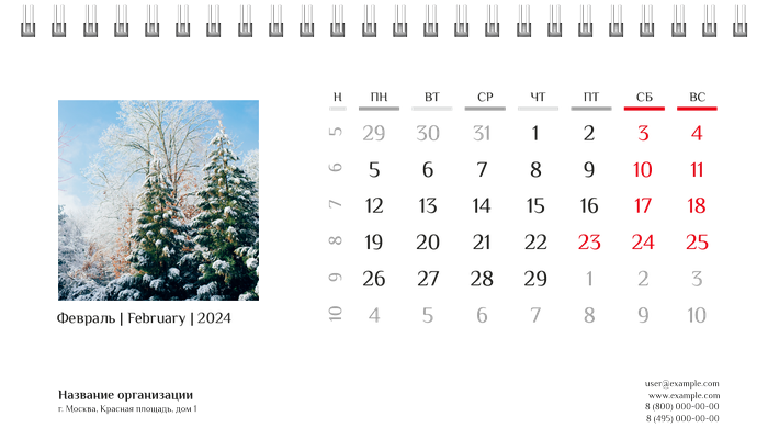 Настольные перекидные календари - Природа Февраль