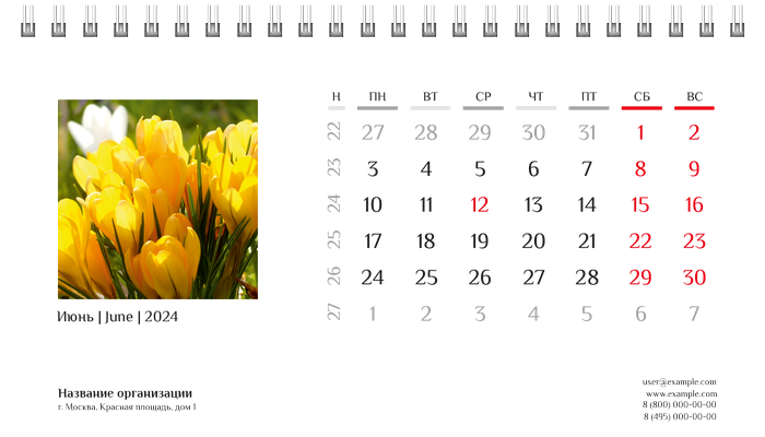 Настольные перекидные календари - Природа Июнь