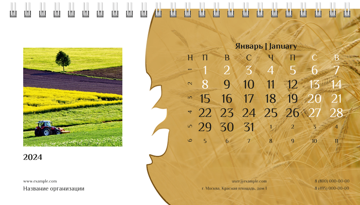 Настольные перекидные календари - Пшено Январь