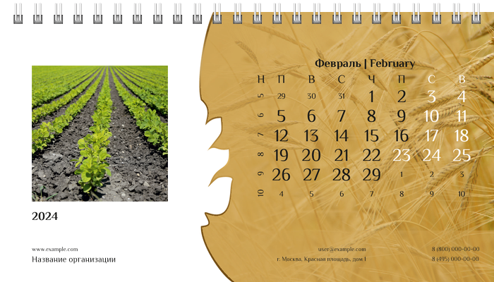 Настольные перекидные календари - Пшено Февраль