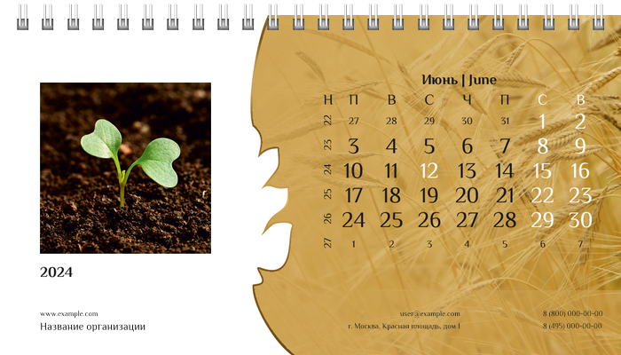 Настольные перекидные календари - Пшено Июнь