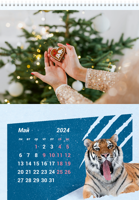 Вертикальные настенные перекидные календари - Снежный тигр Май